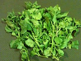 Share-Week-3 New Zealand Spinach-4x6.jpg