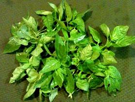 Share-Week-3 Basil-Tips-4x6.jpg